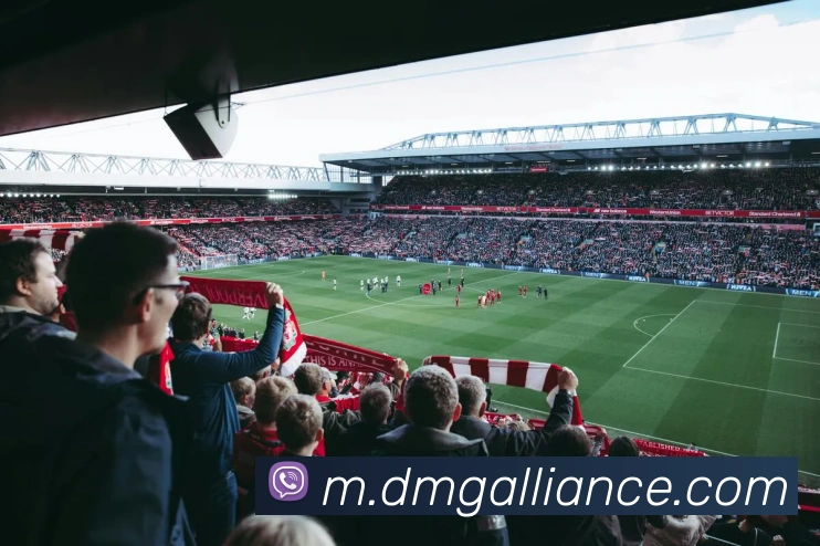 大满贯平台平台生态图